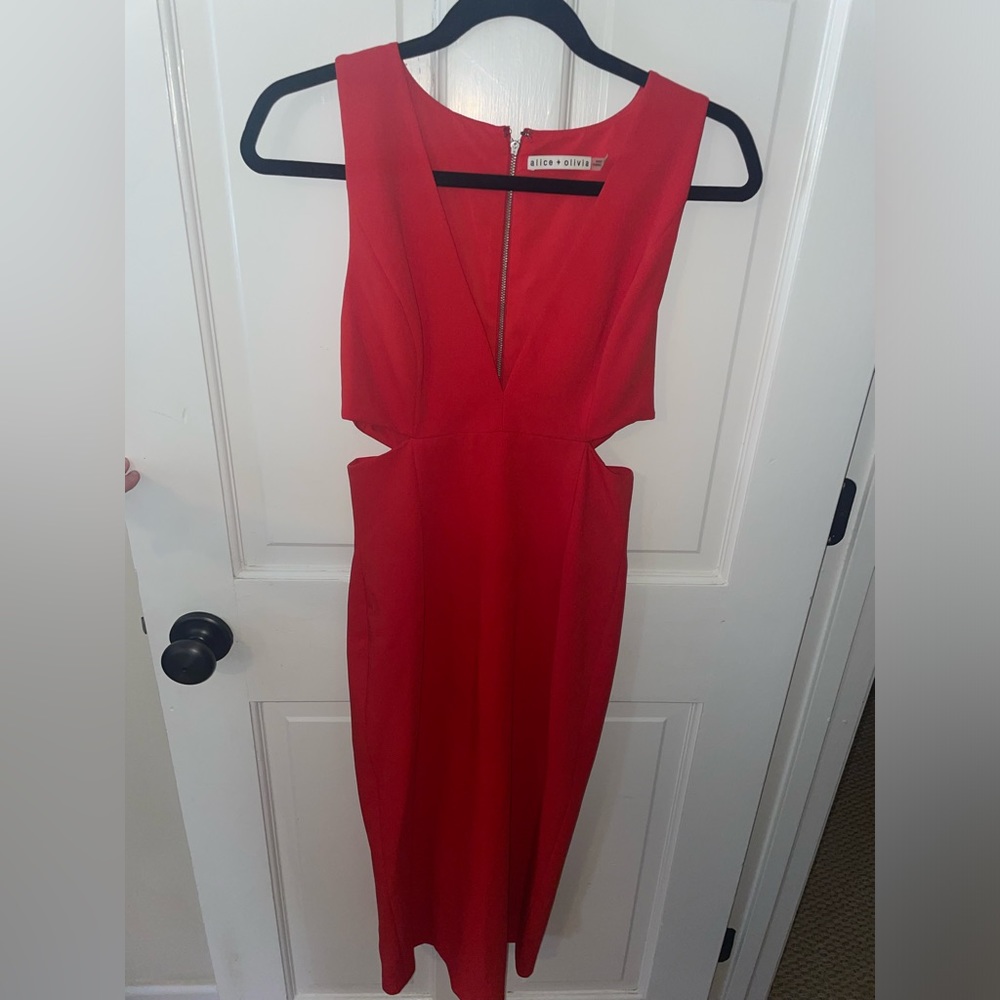 Alice + Olivia gently worn!